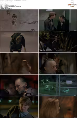 Leprechaun 2 1994 1080p BDRip DTS H264-PoPCoRn