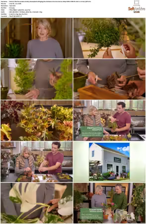 Martha Gardens S01 1080p ROKU WEB-DL AAC2.0 H264-V3RT