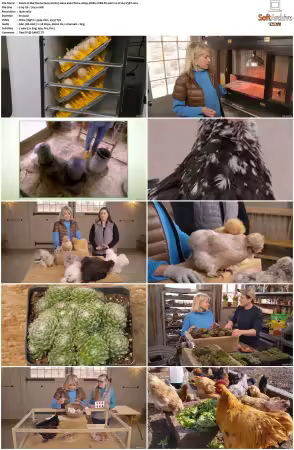 Martha Gardens S01 1080p ROKU WEB-DL AAC2.0 H264-V3RT