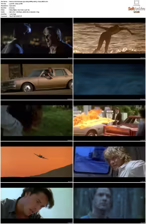 Point Break 1991 1080p BRRip AAC5.1 h264-XBiTs