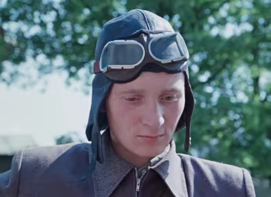 The Ideal Landscape 1981 1080p WEB-DL-EMX