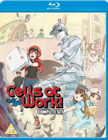 Cells at Work 2024 1080p BluRay x264 DTS-WiKi