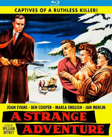 A Strange Adventure 1956 1080p Bluray Opus 2.0 x264-RetroPeeps