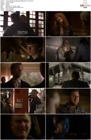 Justified 2010 S05 1080p BDRip DDP5.1 x265-Vialle
