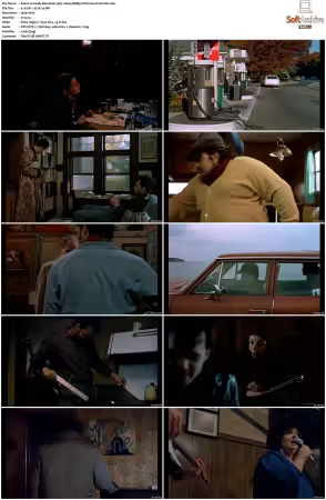 Candy Mountain 1987 1080p BDRip DTS H264-PoPCoRn