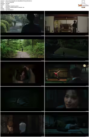 The Handmaiden 2016 1080p BDRip DTS H264-PoPCoRn