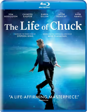 The Life of Chuck 2024 720p BluRay x264-PiGNUS