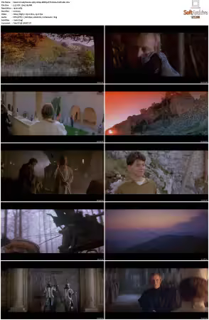 Ladyhawke 1985 1080p BDRip DTS H264-PoPCoRn