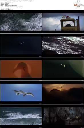 Jonathan Livingston Seagull 1973 1080p BDRip DTS H264-PoPCoRn