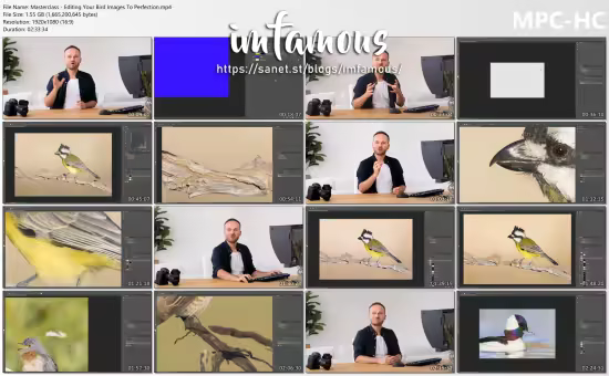 Jan Wegener - Masterclass Editing Your Bird Images to Perfection