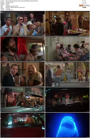Cheech and Chongs Next Movie 1980 1080p BDRip DTS H264-PoPCoRn