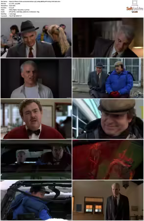 Planes Trains and Automobiles 1987 1080p BDRip DTS H264-PoPCoRn