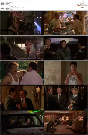 The Birdcage 1996 1080p BDRip DTS H264-PoPCoRn