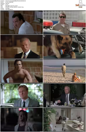 K-9 1989 1080p BDRip DTS H264-PoPCoRn