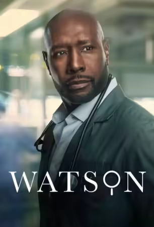 Watson S02E20 1080p HEVC x265-MeGusta