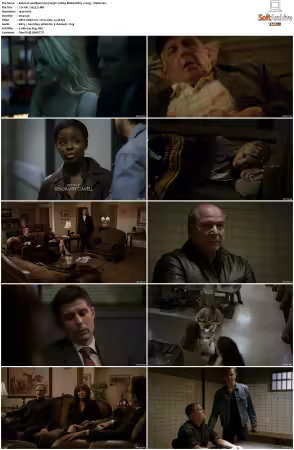 Justified 2010 S05 1080p BDRip DDP5.1 x265-Vialle