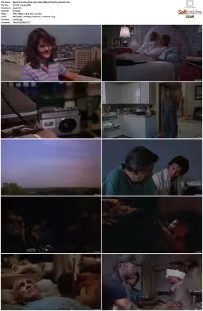 The Day After 1983 1080p BDRip DTS H264-PoPCoRn