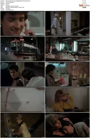 After Hours 1985 1080p BDRip DTS H264-PoPCoRn