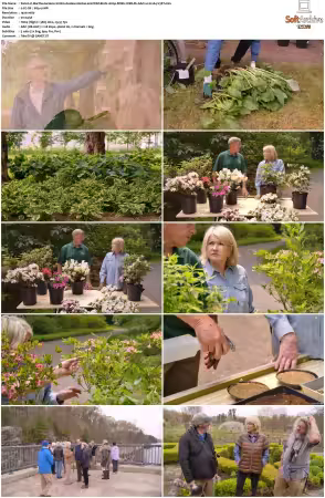 Martha Gardens S01 1080p ROKU WEB-DL AAC2.0 H264-V3RT