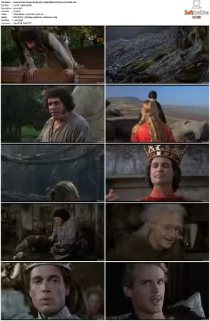 The Princess Bride 1987 1080p BDRip DTS H264-PoPCoRn