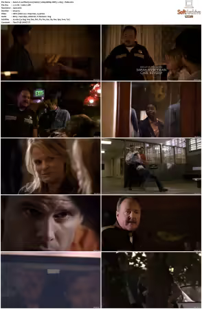 Justified 2010 S01 1080p BDRip DDP5 1 x265-Vialle