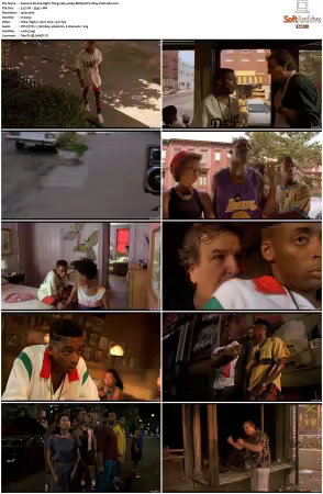 Do the Right Thing 1989 1080p BDRip DTS H264-PoPCoRn