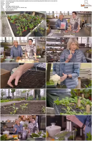 Martha Gardens S01 1080p ROKU WEB-DL AAC2.0 H264-V3RT