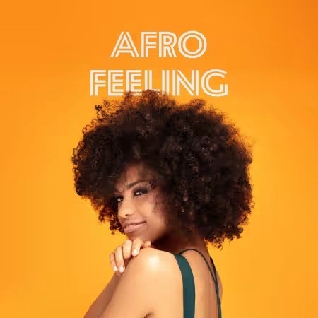 Various Artists - afro feeling (2025)