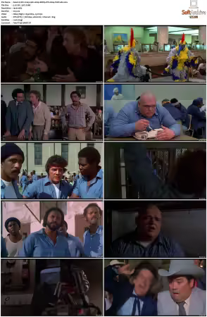 Stir Crazy 1980 1080p BDRip DTS H264-PoPCoRn