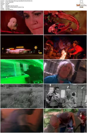 Natural Born Killers 1994 1080p BDRip DTS H264-PoPCoRn