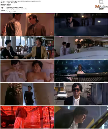 Twin Dragons 1992 DUBBED 1080p BluRay x264-SADPANDA