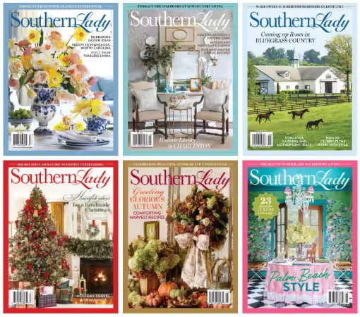 Southern Lady - Full Year 2025 Collection
