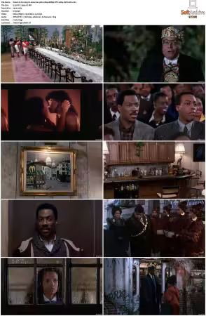 Coming to America 1988 1080p BDRip DTS H264-PoPCoRn
