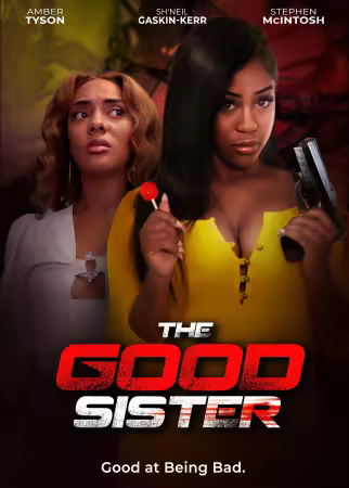 The Good Sister 2025 1080p WEBRip-WORLD