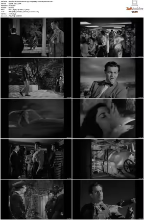 His Kind of Woman 1951 1080p BDRip DTS H264-PoPCoRn