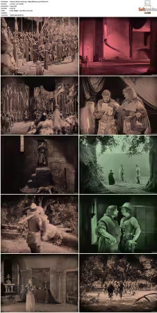 Robin Hood 1922 1080p BluRay x264-SUP3R