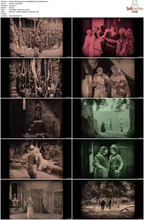 Robin Hood 1922 1080p BRRip AAC2 0 h264-XBiTs