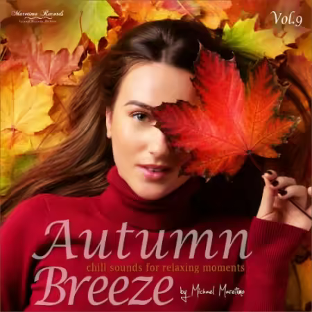 VA - Autumn Breeze Vol.9 - Chill Sounds for Relaxing Moments (2025)