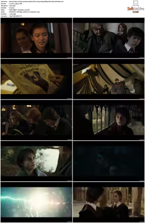 Harry Potter and the Goblet of Fire 2005 1080p BDRip DTS H264-PoPCoRn