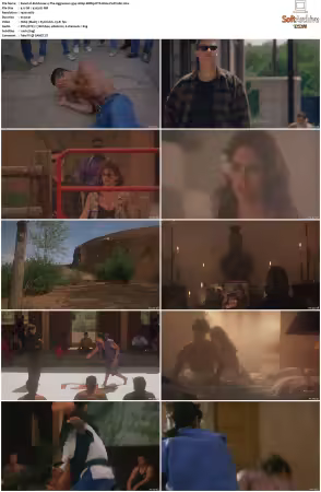 Kickboxer 4 The Aggressor 1994 1080p BDRip DTS H264-PoPCoRn