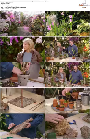 Martha Gardens S01 1080p ROKU WEB-DL AAC2.0 H264-V3RT