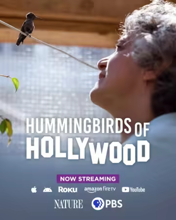 Hummingbirds Of Hollywood 2025 1080p WEBRip x264-CBFM