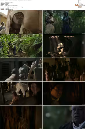 Roots 2016 S01 1080p WEB-DL AAC2.0 H264-NTb