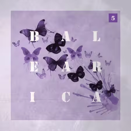 VA - Deepalma Balearica Vol.5 (Finest Ibiza Deep &amp; Organic House) (2025)