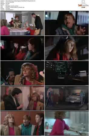 Adventures in Babysitting 1987 1080p BDRip DTS H264-PoPCoRn
