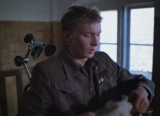 The Ideal Landscape 1981 1080p WEB-DL-EMX