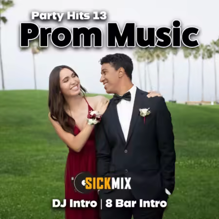 SickMix - Party Hits Vol.13 (2024)