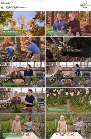 Martha Gardens S01 1080p ROKU WEB-DL AAC2.0 H264-V3RT