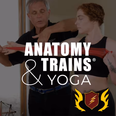 Yoga International - Anatomy Trains® and Yoga