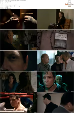 Lights Out 2011 S01 1080p WEBRip x265-KONTRAST